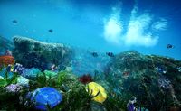Underwater World 3d model life seascape