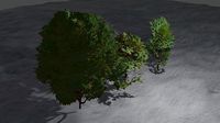 Trees
