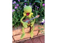 Eyes and guitar for plush kermit