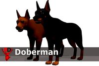 Doberman