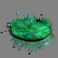 Water cloud Ze - plant