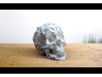 Ornament Skull 2