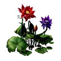 Game model - Hanging Garden - Xian Yun flowers 01