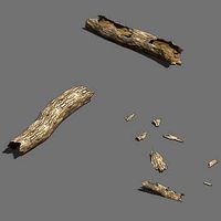 Fell to the ground decay tree 02