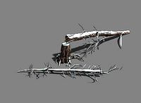 Ice and Snow - Cedar 04