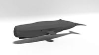Low Poly Cartoon Sperm Whale
