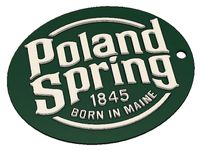 Poland Spring Keychain