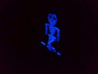Luminous walking skeleton