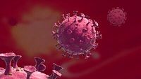 3D Max model virus coronavirus