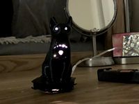 remix project cat lantern