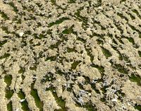 Arid dirty ground PBR Pack