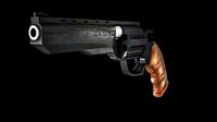 gun model