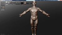 man ecorche
