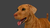 MLAB-014 Animated Dog