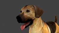MLAB-013 Animated Dog