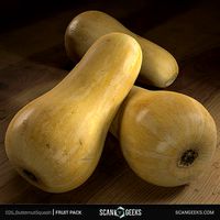 Butternut Photogrammetry Asset 3D PhotoScan