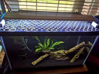 10 gal aquarium lid
