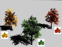 low-poly 3D model maple trees