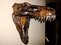 Trophy Mount for T-Rex Skull from the Leo Burton Mount