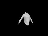 torso with proper topology