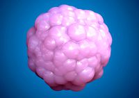 Spheroid