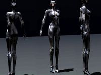 Rigged Batgirl Batwoman Catwoman Superhero Character