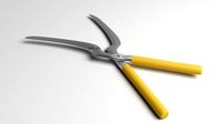 Garden Shears