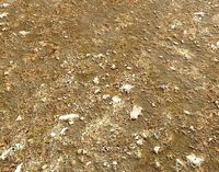 Arid Wasteland ground PBR Pack