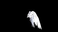 Angel Wings Rigged