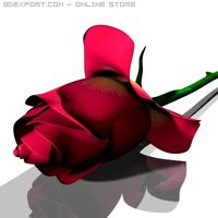 Rose 3D Model