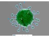 Corona virus 3d model for 3d print coronavirus | 3D