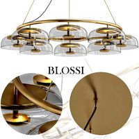 BLOSSI