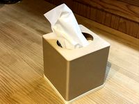 Tissue Box