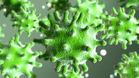 Coronavirus 3d model