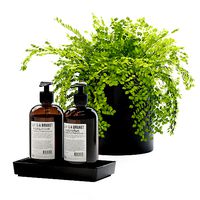Maidenhair ferns with decor set for bathroom
