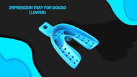Dental Impression Tray For Dogs Lower arch 3D print model | 3D