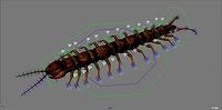 Centipede Rig with motion path Auto Animation