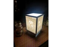photo lamp ( photo size 180x141,6 mm)