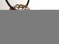 Voronoi Torus Necklace