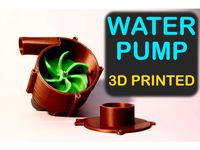 Dual motor water pump