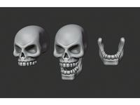 Heroic Human Skull