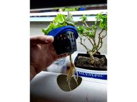 3" Hydroponic Netcup to 4" PVC adapter