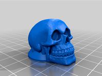Skull Ampli knob