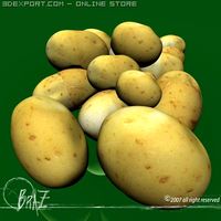 potatoes 3D Model