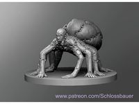 Stitched Pseudo Spider