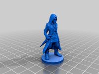 Cloaked assassin