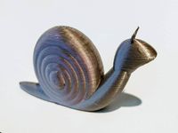 Snail