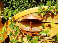 Bird feeder