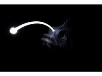 Anglerfish USB lamp