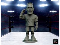 Cena_Salute_BuhemyoWrestler